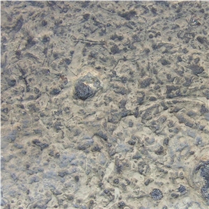 Platteville Limestone