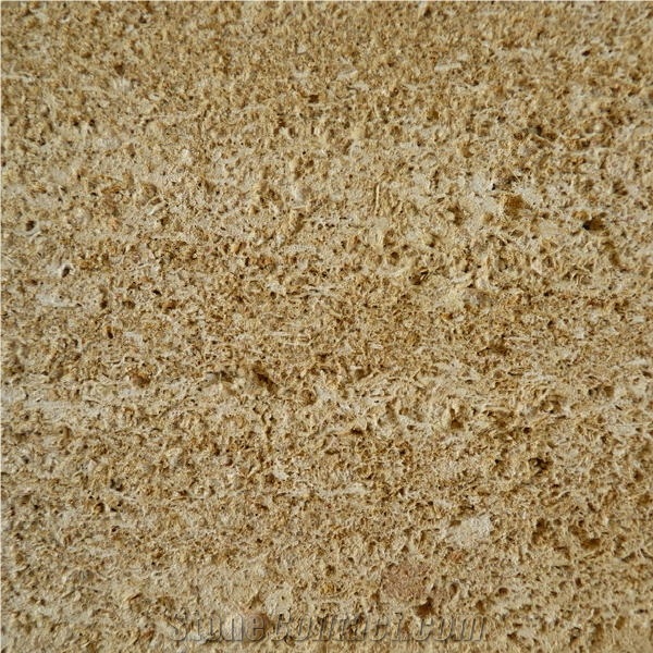 Pont du Gard Limestone importance=