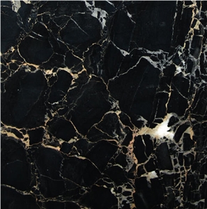 Portorino Marble