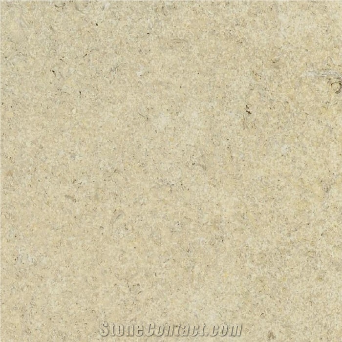 Prairie Shell Limestone importance=