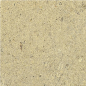 Prairie Shell Limestone Tile