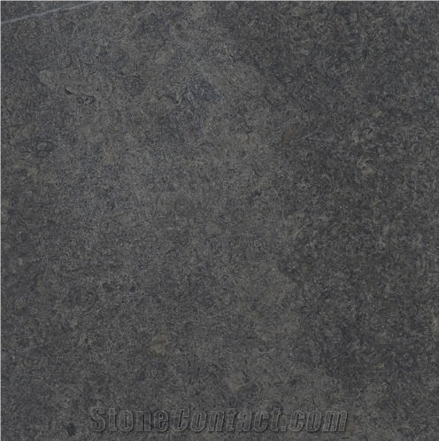 Purbeck Blue Limestone importance=