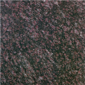 Purple Pearl Granite