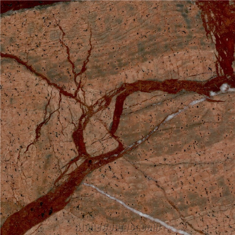 Rainforest Brown Marble Tile
