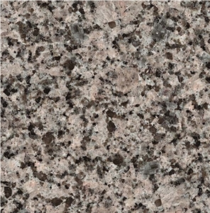 Rebirth Granite