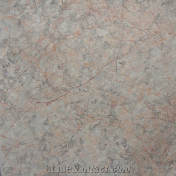 Red Spider Tile