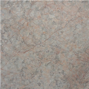 Red Spider Tile