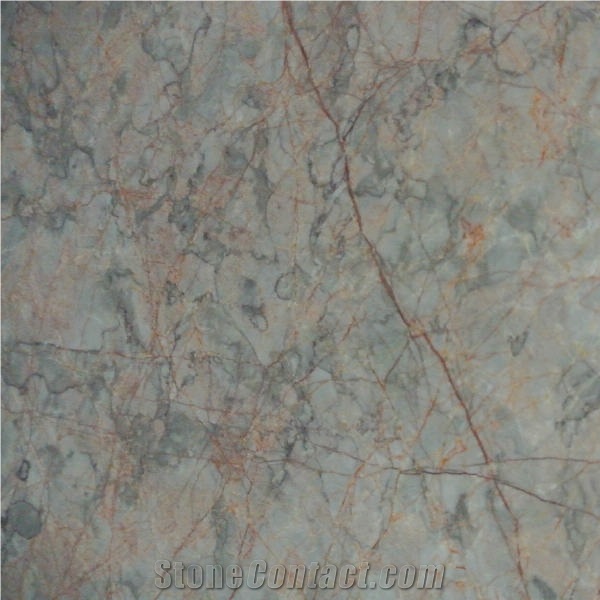 Red Spider Tile