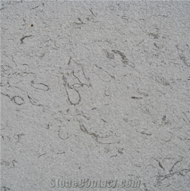 Repen Povir Limestone Tile