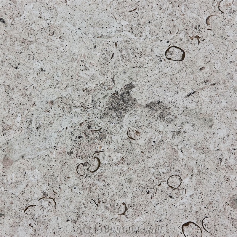 Reval Limestone importance=