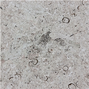 Reval Limestone