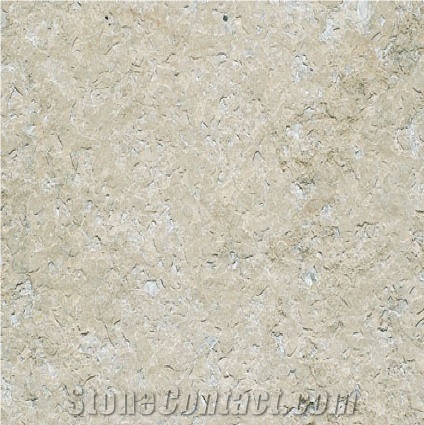 Roc Argent importance=