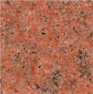 Roche Ornamentale