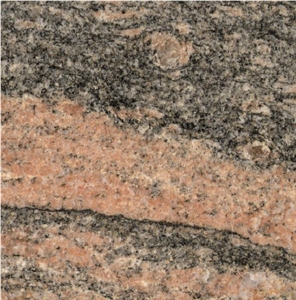 Rockspring Salmon