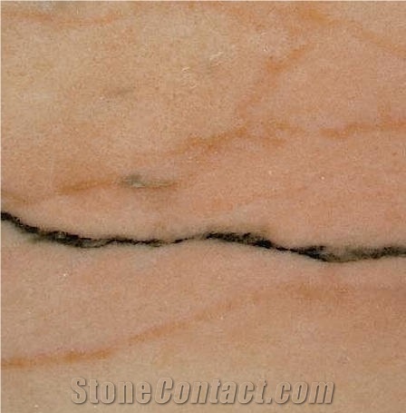 Rosa Aurora Borba B Marble importance=