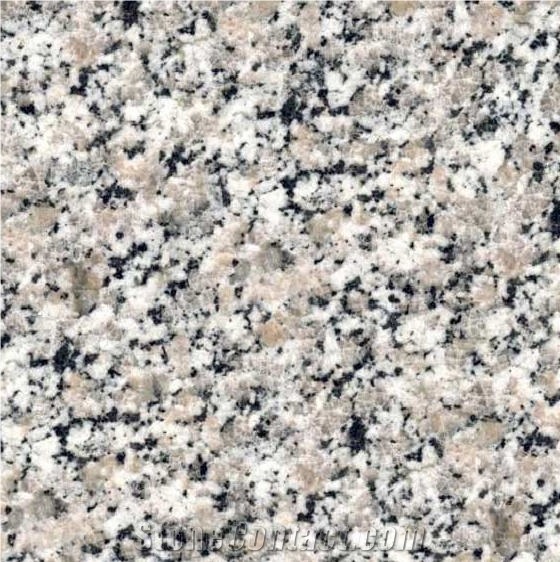 Rosa Cinzia Tile