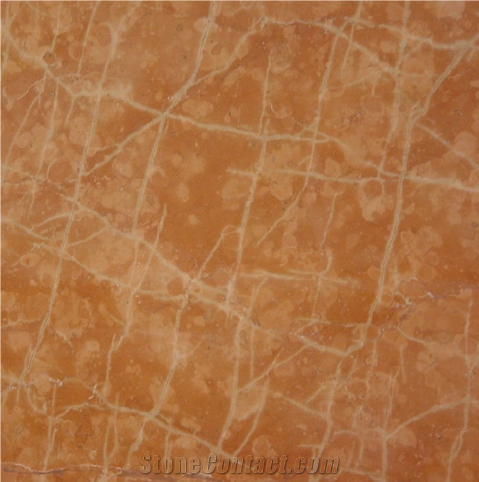 Rosa Corallo Viterbo importance=