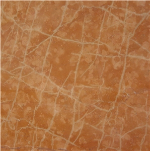 Rosa Corallo Viterbo