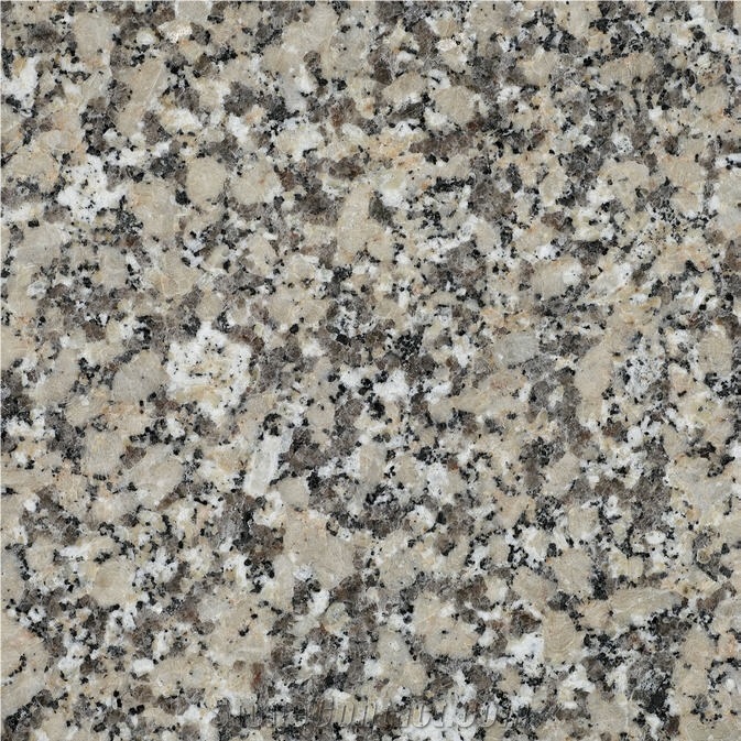 Rosa Dante Tile