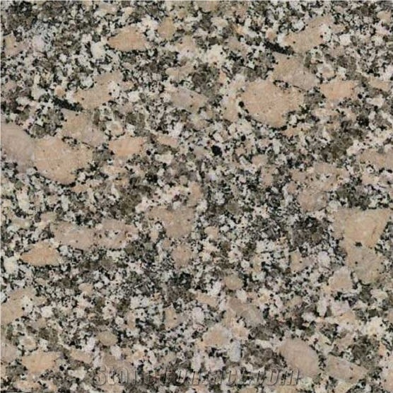 Rosa Dante Tile