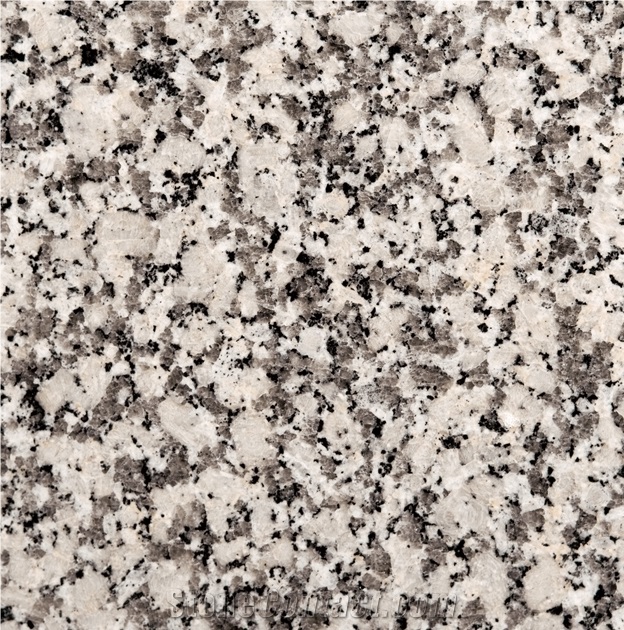 Rosa Faro Tile