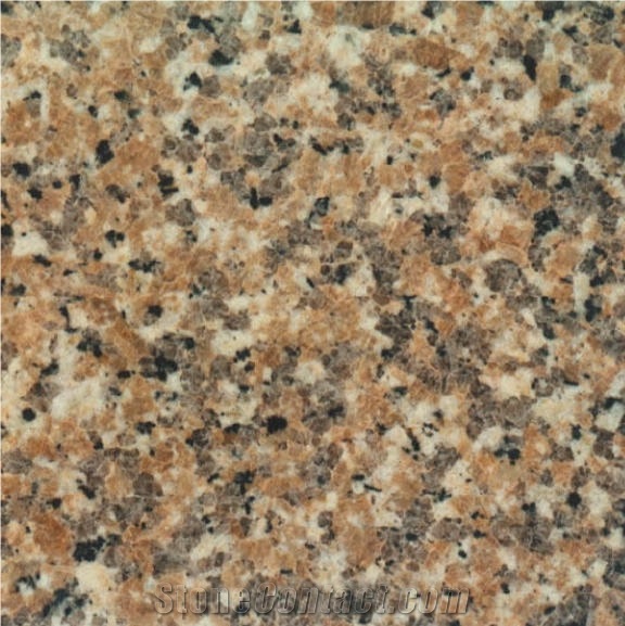 Rosa Ferula Tile
