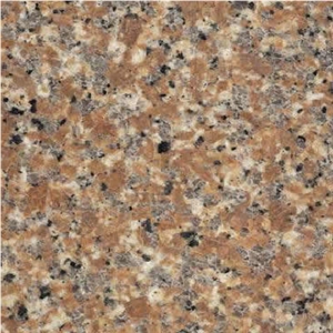Rosa Ferula Tile
