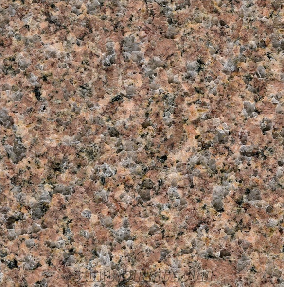 Rosa Hoody Granite importance=