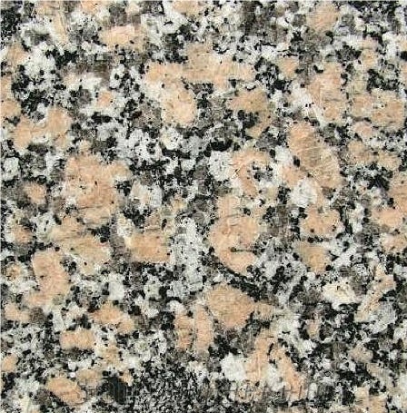 Rosa Lugo Granite importance=