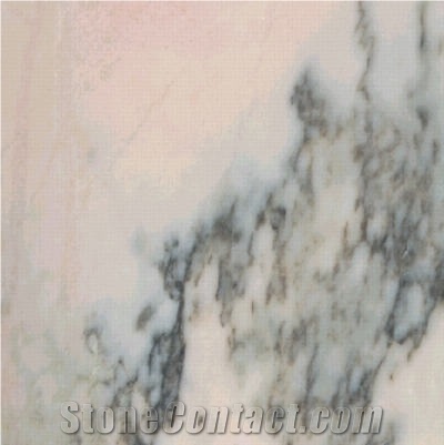 Rosa Maroteira Marble importance=