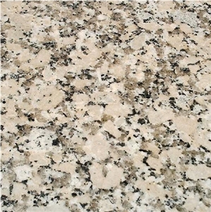 Rosa Minho Tile