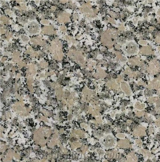 Rosa Minho Tile