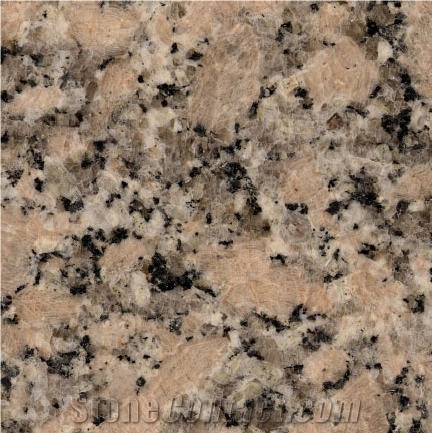 Rosa Salmone Granite importance=