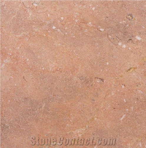 Rosa Zarzi Limestone importance=
