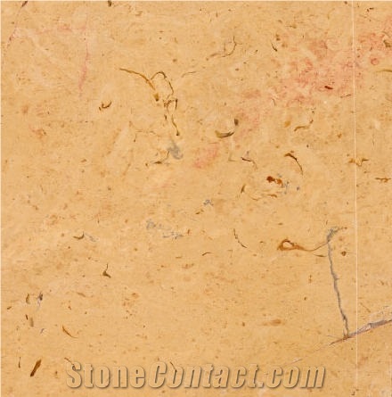 Rose Carla Limestone importance=