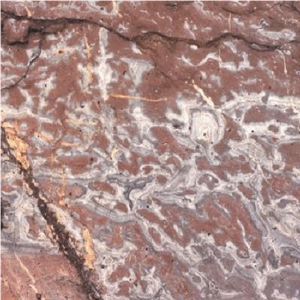 Rose de Rochefontaine Tile