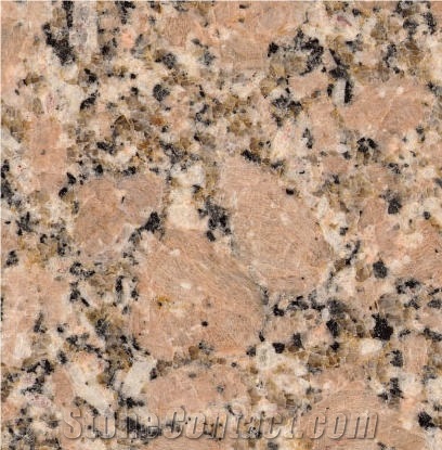 Rose Renca Granite importance=