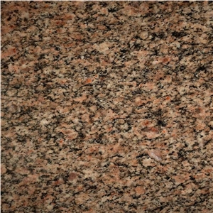 Rosette Light Granite Tile