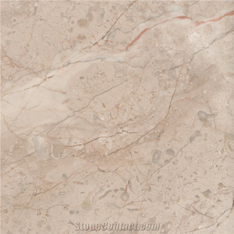 Royal Cream Beige importance=