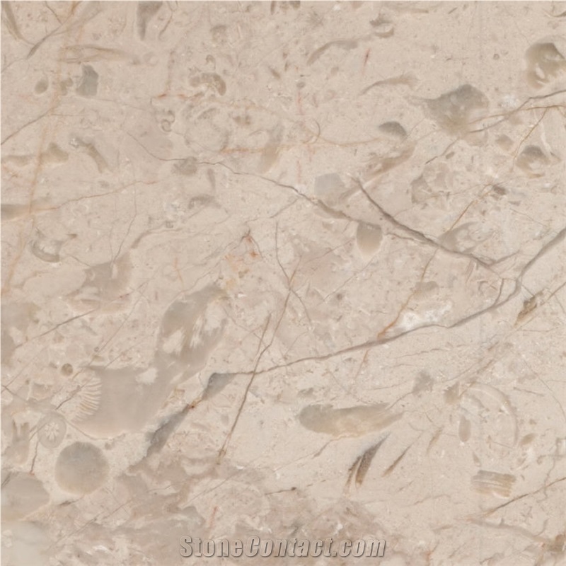 Royal Cream Beige Tile