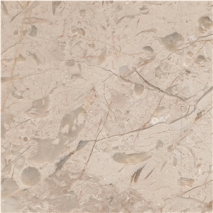 Royal Cream Beige Tile