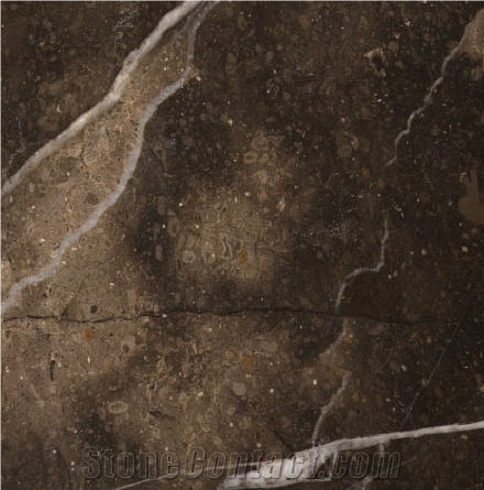 Sabana Black and Gold Limestone importance=