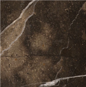 Sabana Black and Gold Limestone