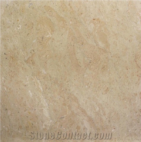 Sahara Somon Limestone importance=