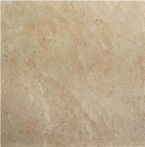 Sahara Somon Limestone