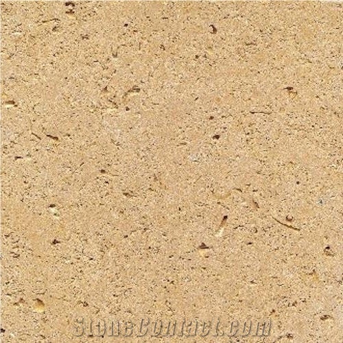 Saint Maximin Limestone Tile