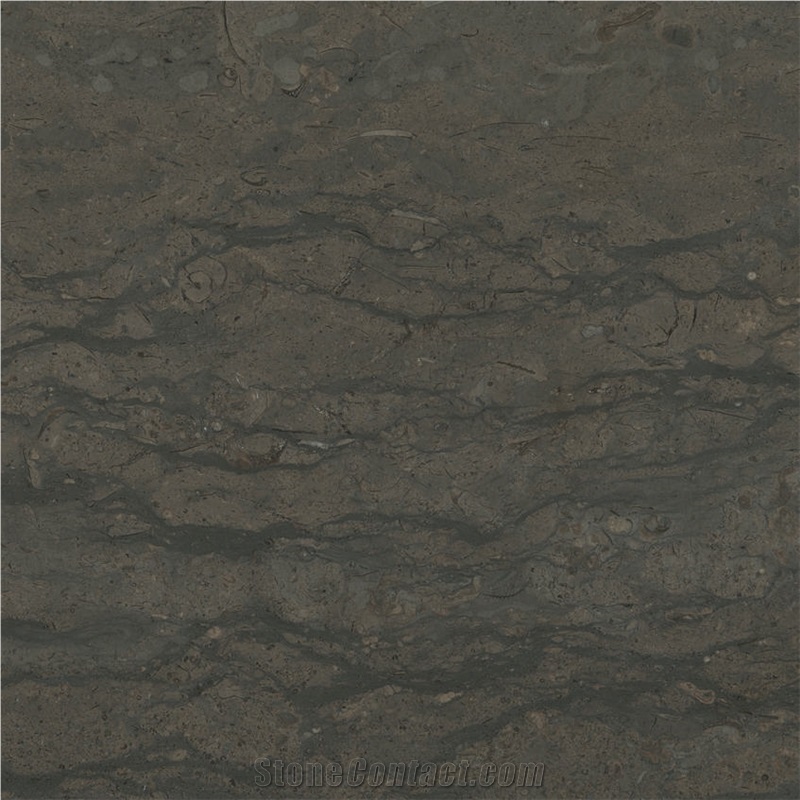 Saint Pierre Linear Limestone importance=