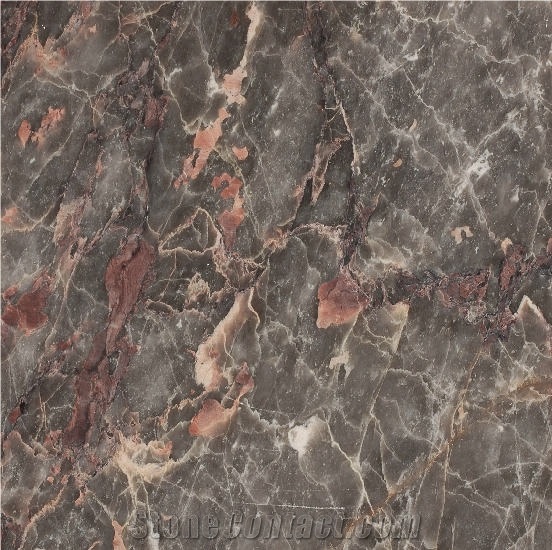 Salome Brown Marble importance=