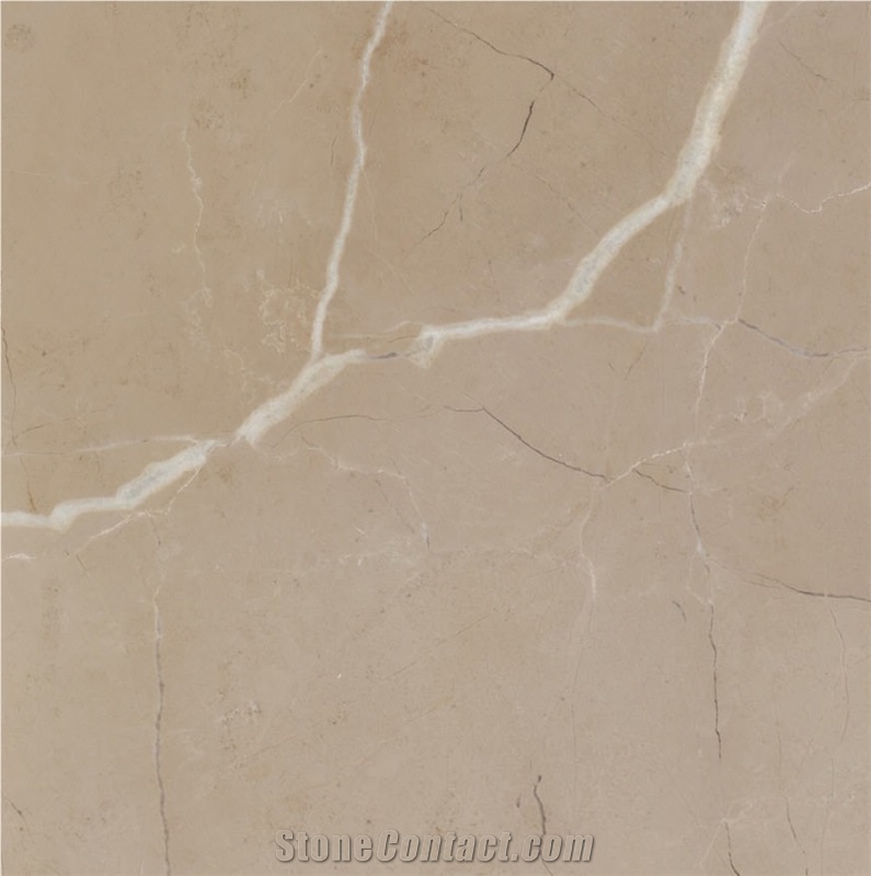 Sara Cream Marble importance=