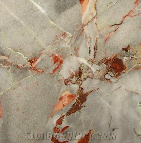 Sarrancolin Versailles Marble Tile